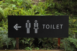 トイレにもＡＩが！？急病人や忘れ物などの早期発見に