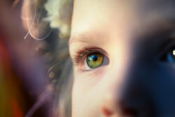 没入度アップ。ＮＴＴドコモが超広視野角のＶＲゴーグル開発