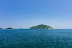 LINEで注文、ドローンで宅配。ANA HDが実現に向け検証実施