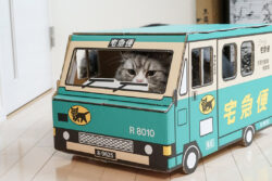 空飛ぶクロネコ。ヤマトホールディングスの狙い