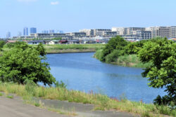 少ない雨量水位データから河川の水位を予測するAI技術