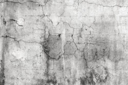 NEXCO西日本、構造物点検システムが本格運用へ