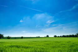 カメラが違う！作物の生育分析も可能な農業用ドローン