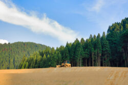 重量物運搬ドローン「カーゴドローン」の現場実証開始