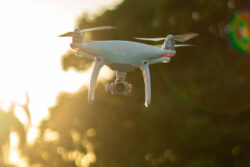 2時間以上がわずか5分に!?ドローン＋ＡＩのスマート育種評価法