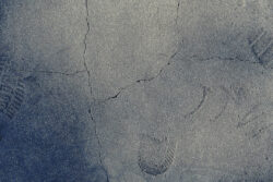 富士フイルムの「ひびみっけ」が業界初の新機能を拡張