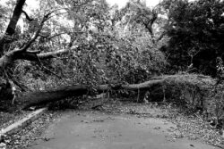 ACSLが防災仕様ドローンで被災地への災害支援を開始