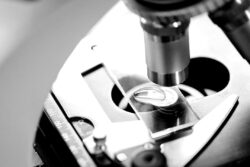 戸田建設と日大工学部が自己治癒コンクリートを開発