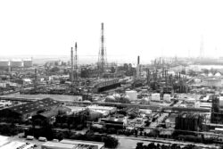 テラドローンのINPEX-Terra Drone Intelligent Drone構想とは