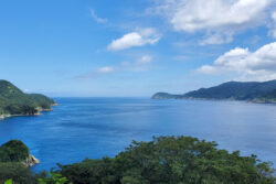 固定翼型ドローンを用いた医薬品配送。往復32kmを片道10分に