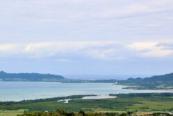 バイオ燃料を使用したハイブリッドドローンによる物流実証