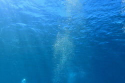 KDDIが世界初の水空合体ドローンを開発