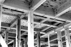 竹中工務店、一般流通材で大スパン建物を実現する新木架構システム開発