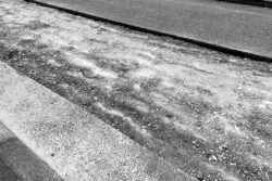 大林組、道路橋工事における規制期間短縮と耐久性向上を両立