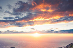 2022年 新年の御挨拶