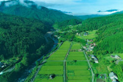 森林関係に特化した点群解析アプリ「mapry PC版」が追加費用無料で登場