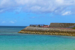 海洋土木市場の今。そして、ブルーカーボン生態系を守る東亜建設工業の実海域実験