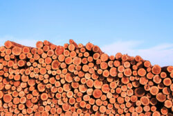 竹中工務店<br>木による付加価値向上技術「KiPLUS®」を新たに展開。