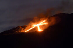 夏期休暇のおしらせ