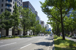 大林組<br> 雨水流出抑制効果とヒートアイランド現象緩和効果をもつ「ハイドロペイブ ライト™」を開発。