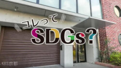 KBS京都 サニータイムの「コレってSDGs？」で弊社の取り組みがテレビ放送されました