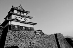 鹿島建設<br>大量資材のトレーサビリティ管理を可能にする「Kトレース®」を開発。