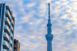 サン電子<br>東京スカイツリーの鉄骨表面温度測定に「おくだけセンサーⅡEX1」採用。