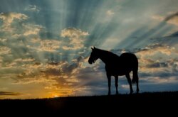 2026年 新春の御挨拶