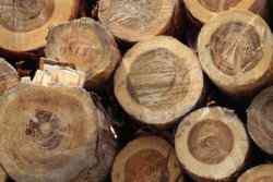 大東建託 バイオマス発電事業3社を合併し「大東バイオエナジー株式会社」へ集約。